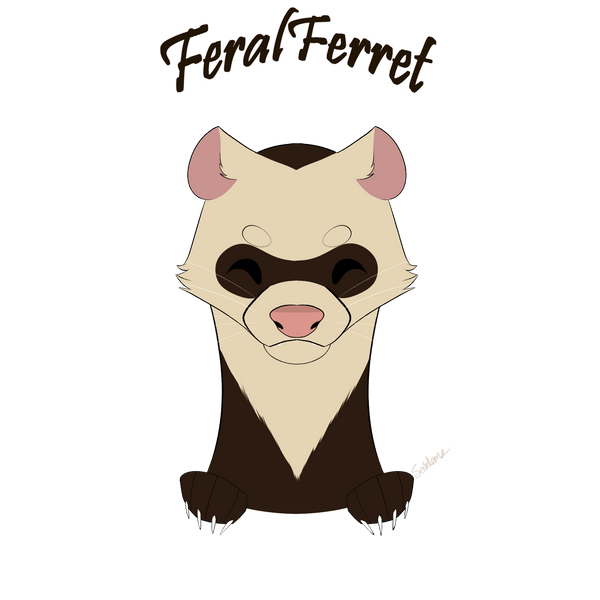 Feral Ferret