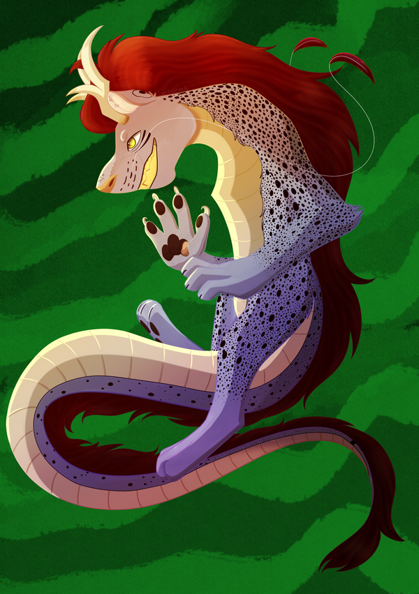 Feral Ferret